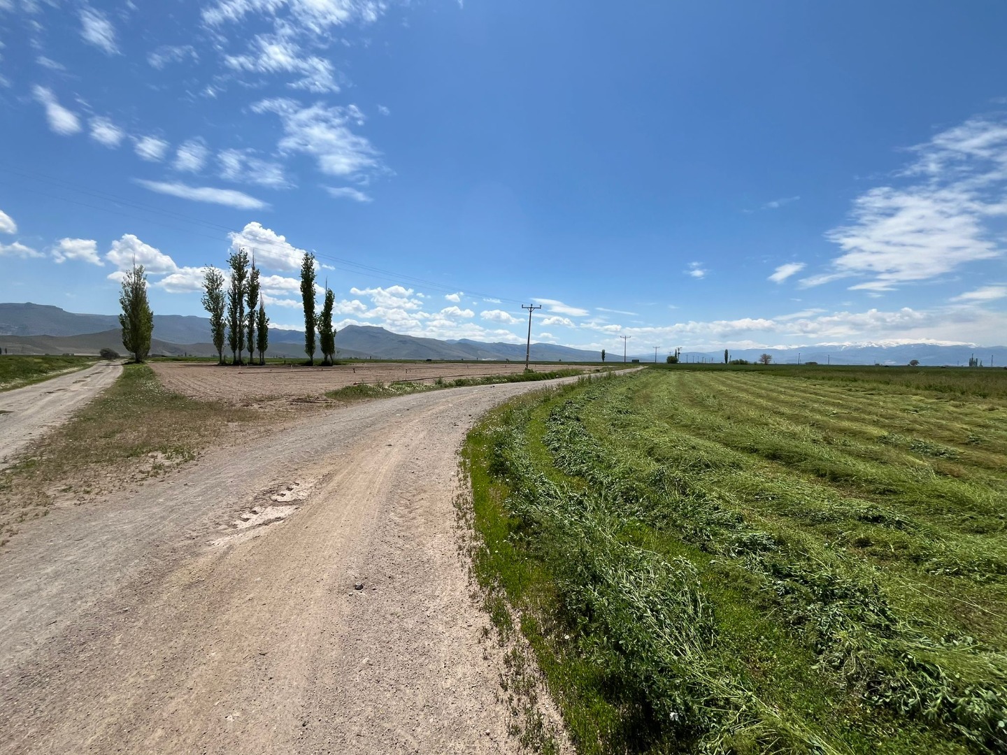 KAYSERİ DEVELİ SİNDELHÖYÜK MAHALLESİ TAŞLIYER MEVKİNDE SATILIK TARLA